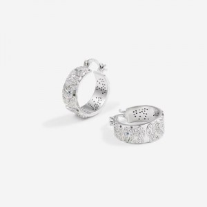 Aretes JW PEI Elephant Mujer Plateados | 1356XSKBU